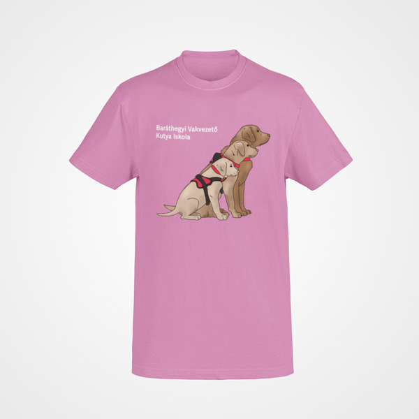 Baráthegyi generációk férfi póló